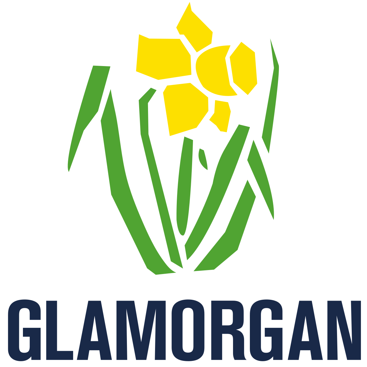 Glamorgan County Cricket Club