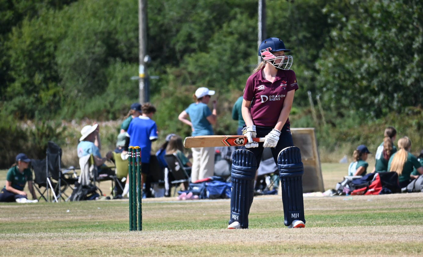 Read about a new partnership between Cricket Wales and Ludimos.